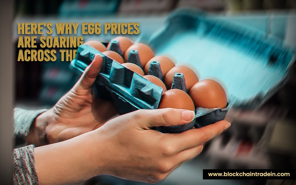 Here's why egg prices are soaring across the US